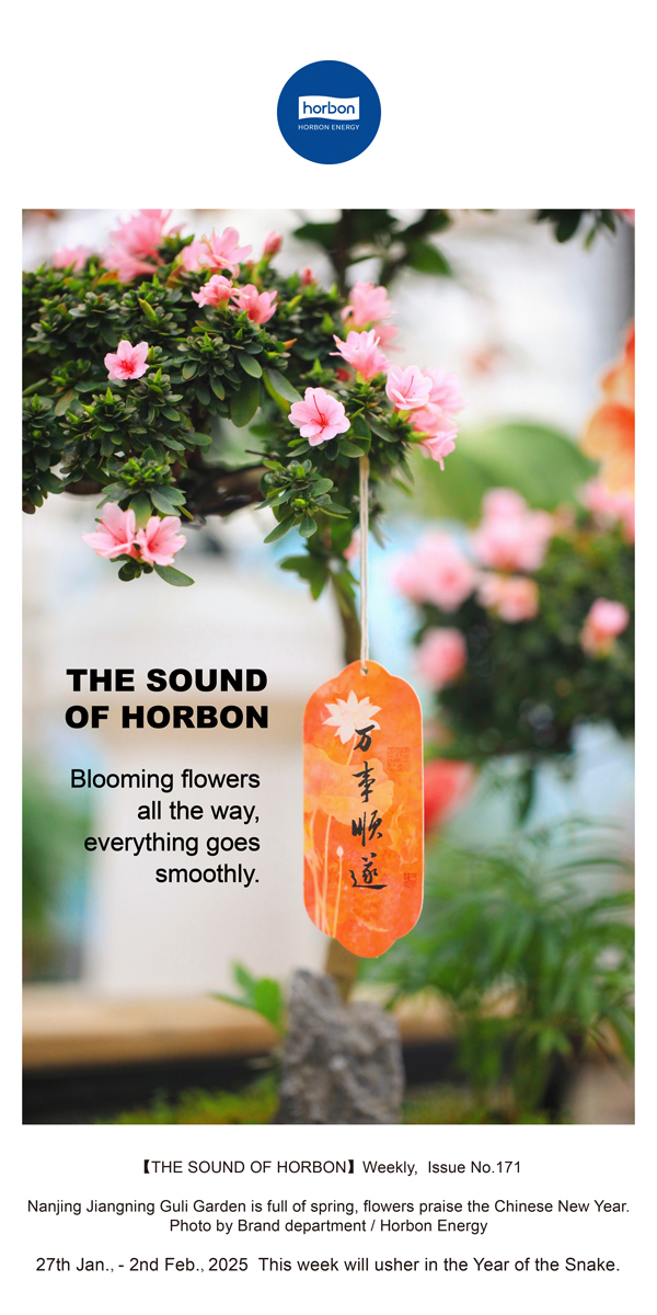 ����֮����(�ܵ�171�ڣ�һ·����������˳����Ӣ�ĵ�������������.jpg