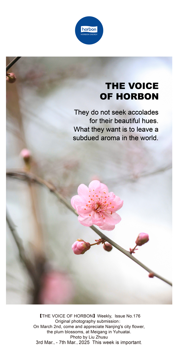 ����֮����(�ܵ�176�ڣ���Ҫ�˿��ɫ����ֻ��������Ǭ����Ӣ�ĵ�������������.jpg