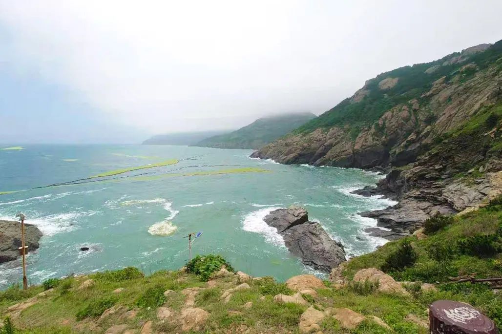 1653471100826604ROOS.jpg 1653471100826604ROOS.jpg