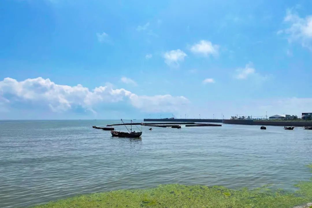 16534711905028023Mr5.jpg 16534711905028023Mr5.jpg