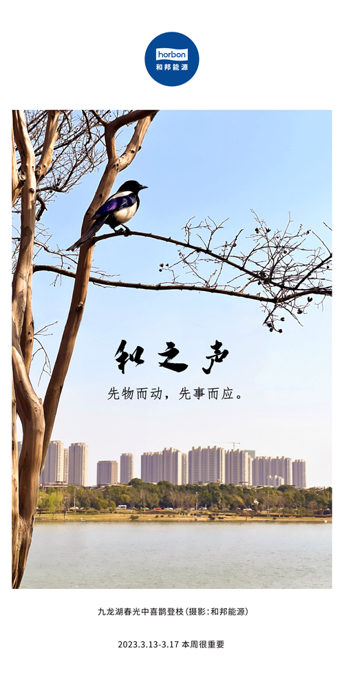 1680578197493162ntoz.jpg 73-ºÍÖ®Éù£¨±¾ÖܺܳÁÒª£©2022.3¼¾¶ÈÍÆËÍËÍÓÃ.jpg