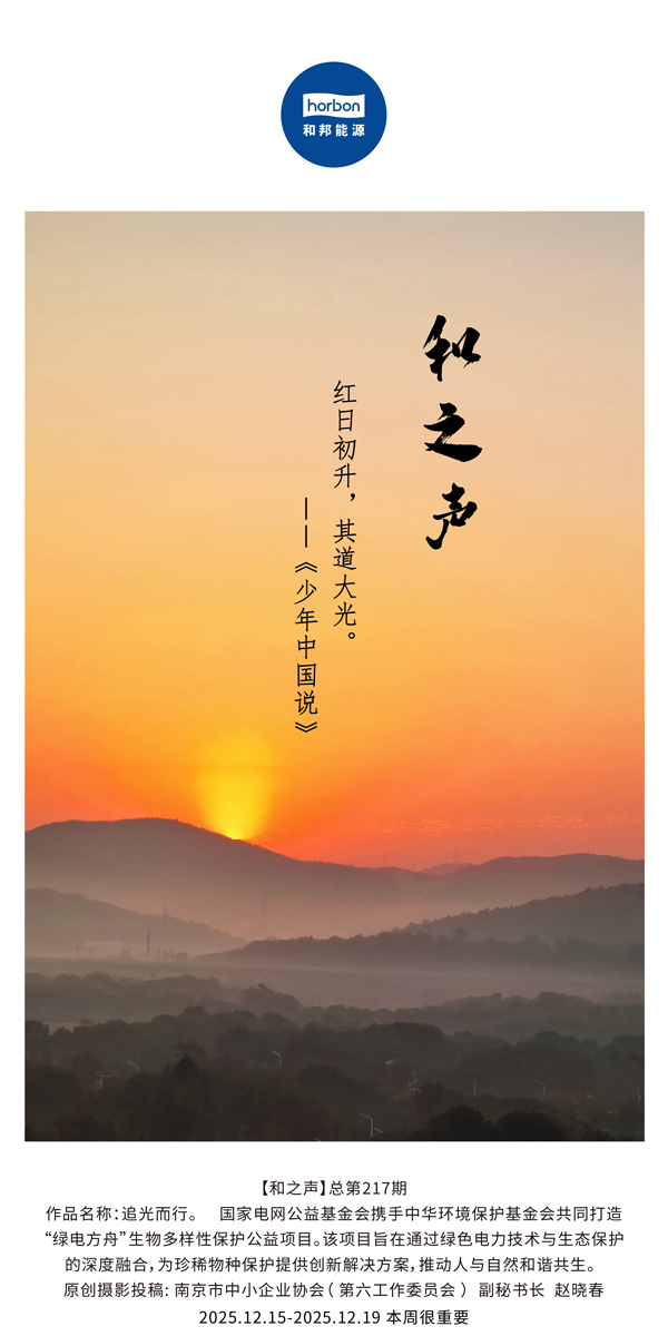 ����֮�������ճ�������·�����(�ܵ�217�ڣ�2025.12.15���ĵ�������������.jpg